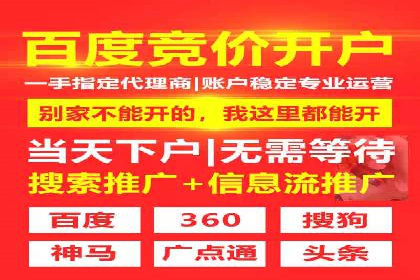 SEM服务公司经典案例集锦